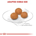 Royal Canin X-Small Adult 1.5 kg