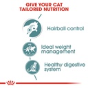 Royal Canin Hairball Care Gravy 85g