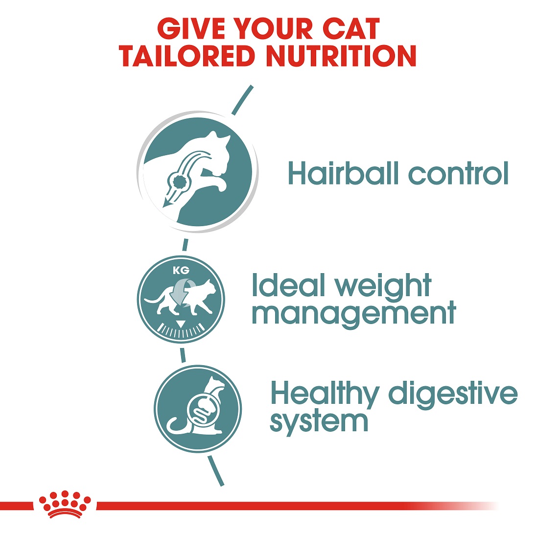 5d0cca58_royal-canin-hairball-care-gravy-85g