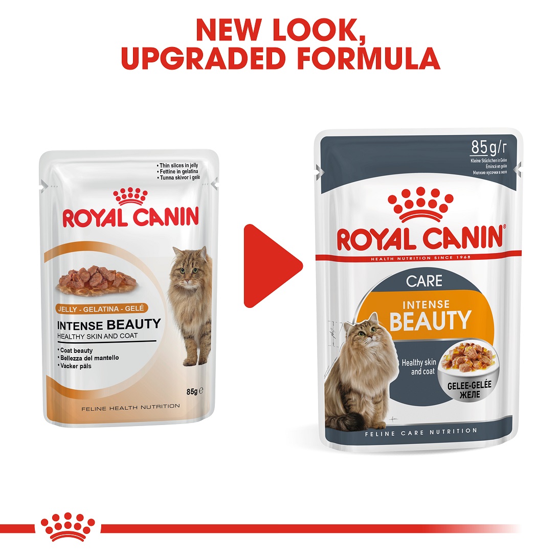5d0cd650_royal-canin-intense-beauty-care-jelly-85g