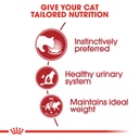 Royal Canin INSTINCTIVE Loaf 85g