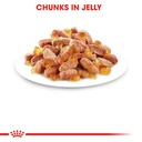 Royal canin KITTEN INSTINCTIVE   JELLY-GELATINA-GELE 85g