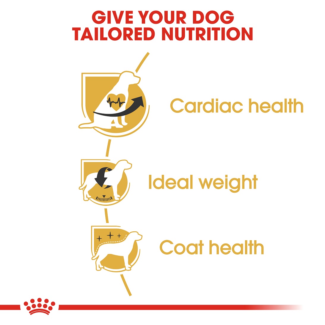 5d284af0_royal-canin-cavalier-king-charles-3kg