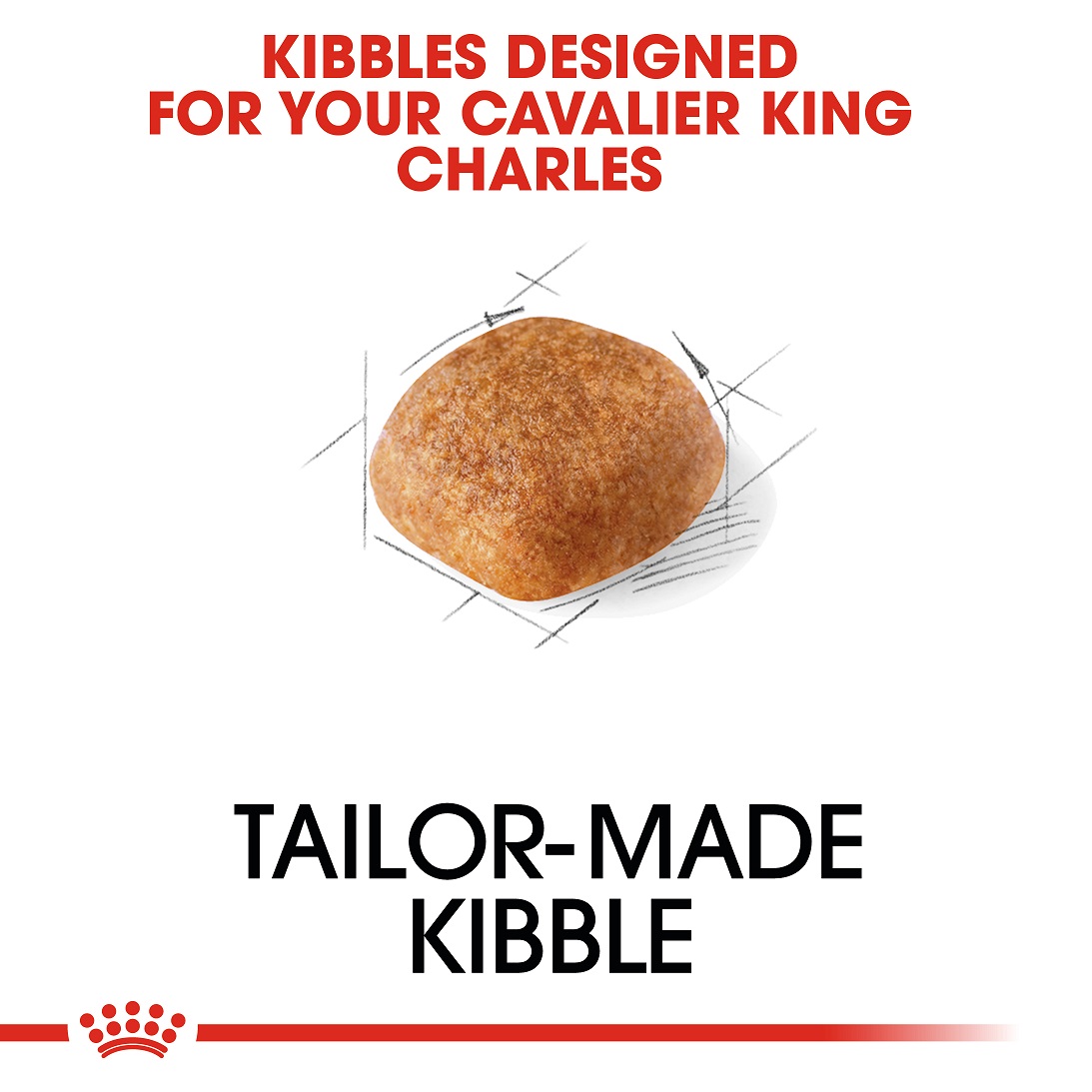 5d284b08_royal-canin-cavalier-king-charles-3kg