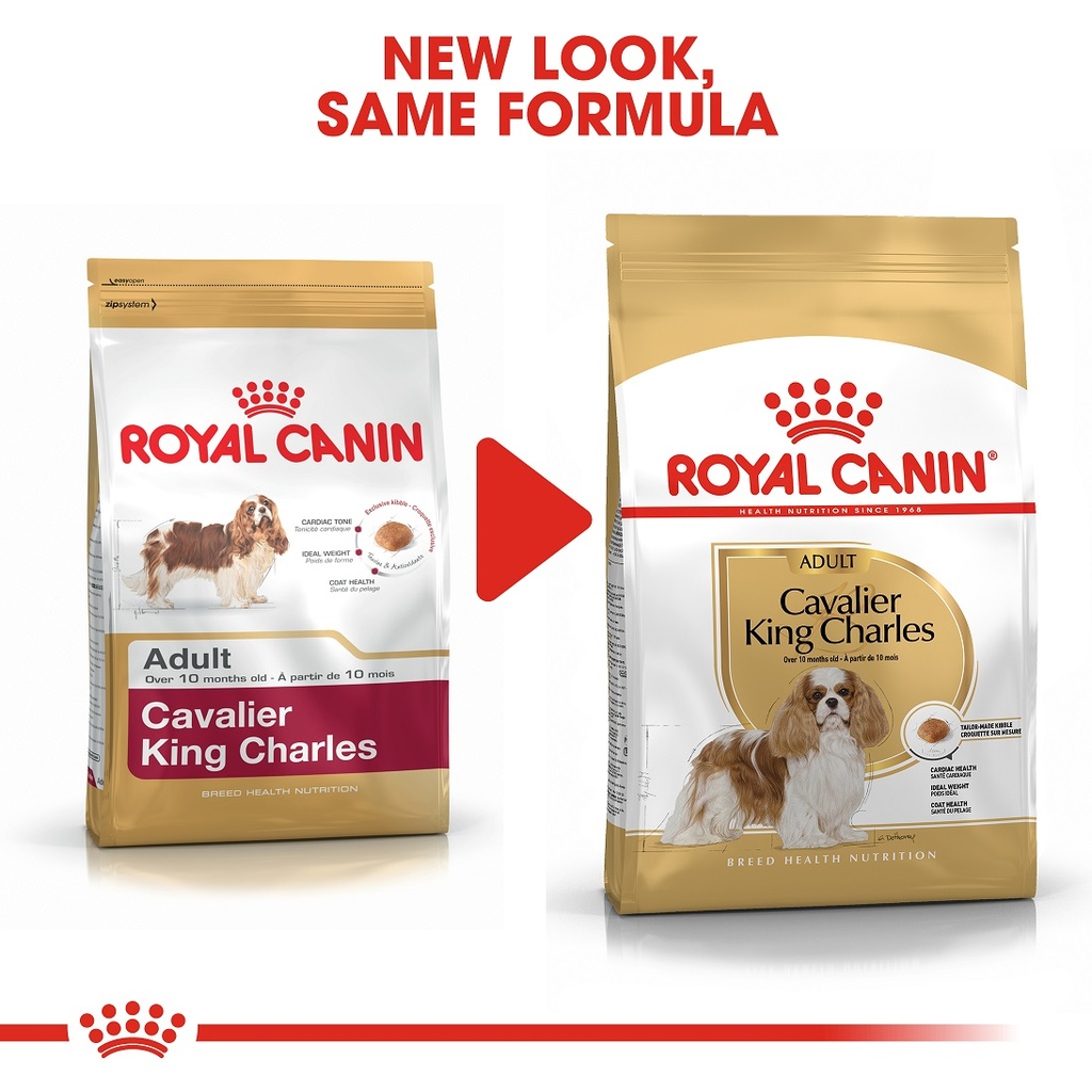 ROYAL CANIN Cavalier King Charles 3Kg