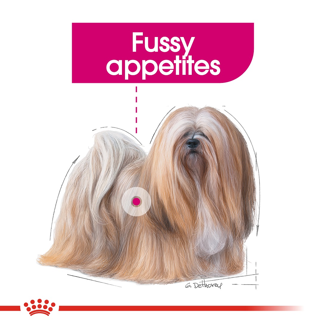 5d284fde_royal-canin-mini-exigent-3-kg
