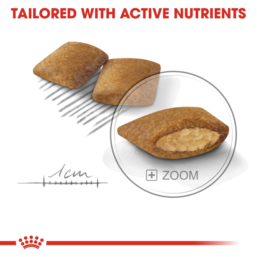 5d284ff6_royal-canin-mini-exigent-3-kg