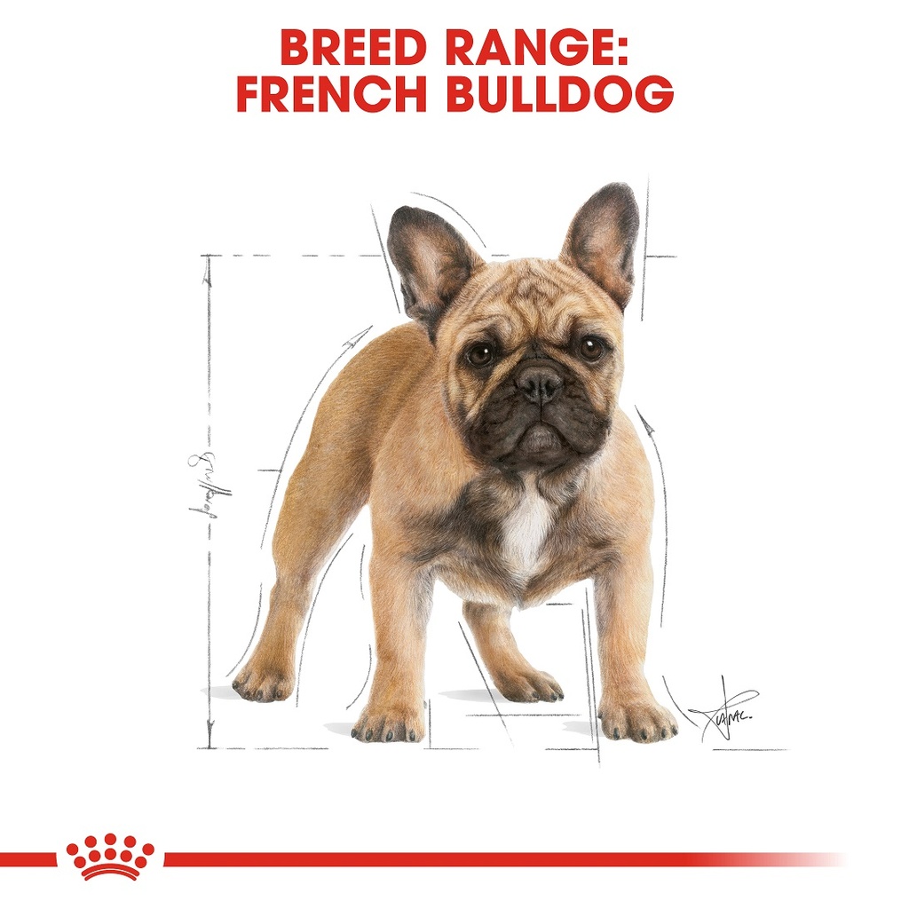 Royal Canin French Bulldog Adult 3 kg