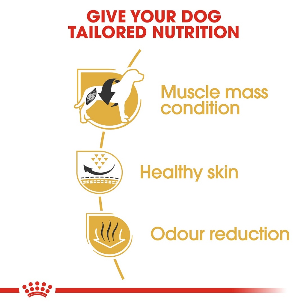 Royal Canin French Bulldog Adult 3 kg