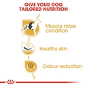 Royal Canin French Bulldog Adult 3 kg