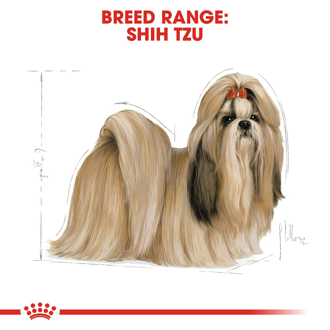 5d2858bd_canin-shih-tzu-adult-1-5kg