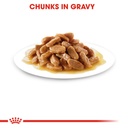 Royal Canin Mini Puppy Pouch Gravy 85g