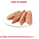 Royal Canin Digestive Care Dog Pouch Loaf 85g