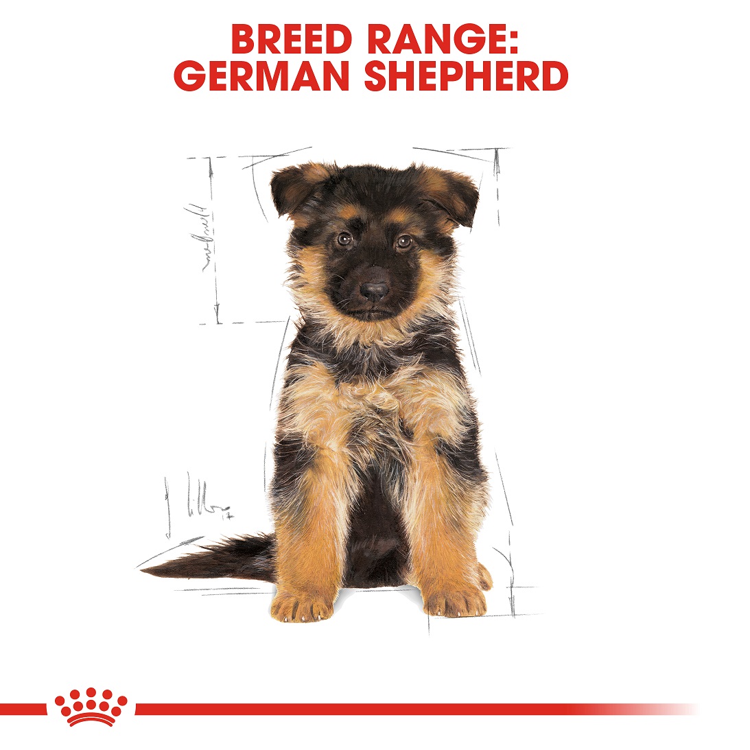 5db6df14_royal-canin-german-shepherd-puppy-dry-food-3kg