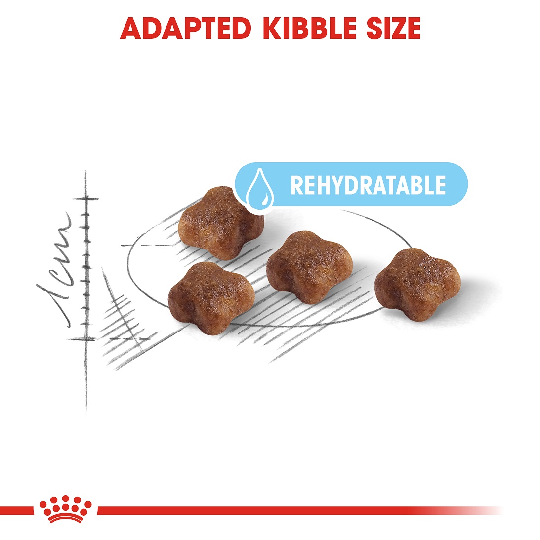 5ddfdb88_royal-canin-babycat-dry-food-4-kg