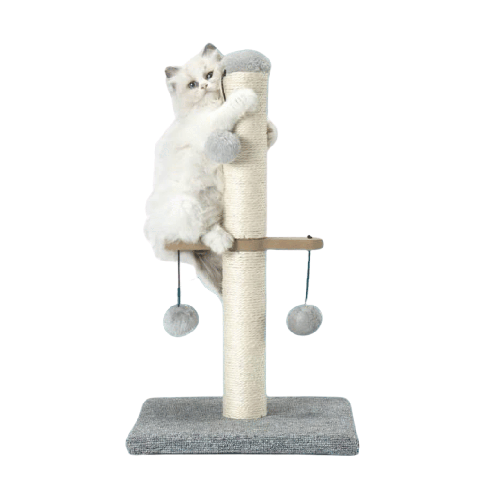 Caty Long Post Cat Scratcher 35 X 25 X 52 cm