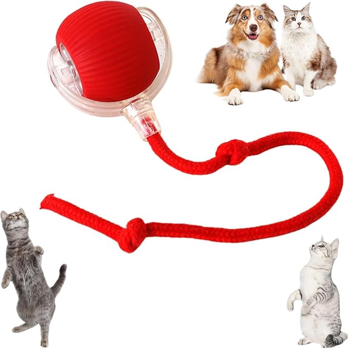 Interactive Smart Pet Toy Rolling Ball, Electric Toy Balls for Indoor Cats & Dogs