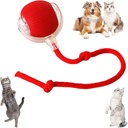Interactive Smart Pet Toy Rolling Ball, Electric Toy Balls for Indoor Cats & Dogs