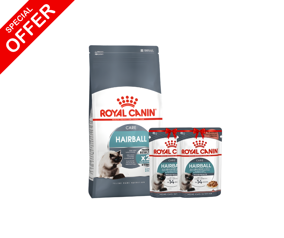 Royal Canin Intense Hairball Dry Cat Food 2kg