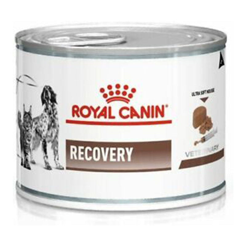 Royal Canin Recovery Ultra Soft Mousse for Cats and Dogs Cans 195g 