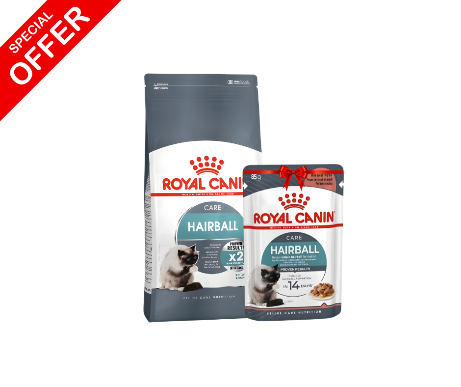 Royal Canin Intense Hairball Dry Cat Food 400g