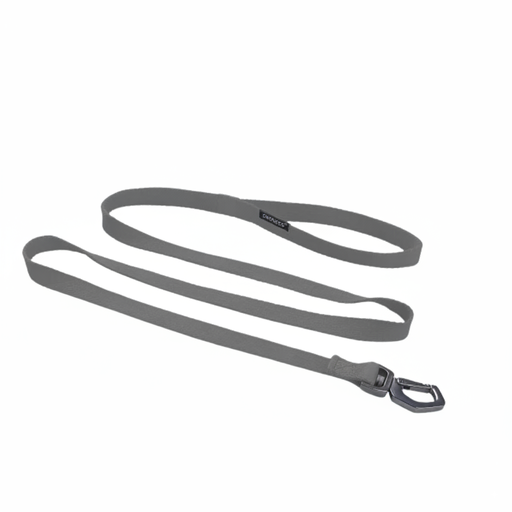 DOGNESS Earth Leash M/L (2.0x152cm)