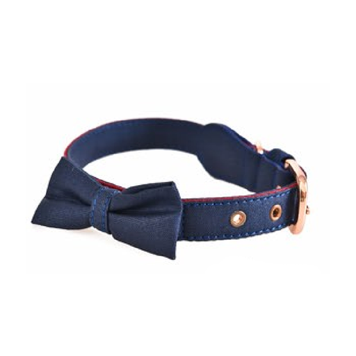 [1733] Naomi jeans Dog collar With Pepion medium Blue (YL103827-M)