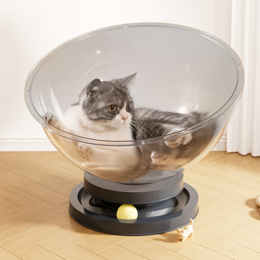 [2669] Circular Plastic Cat Bed with 2 Interactive Rolling Balls – Durable Transparent Pet Lounge