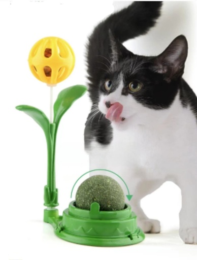 [0042] Catnip with Ball & Bell Cat Toy