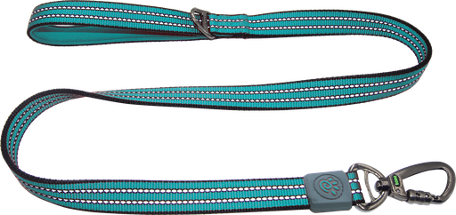 Doco Vario Nylon Dog Leash with Reflective Thread Medium (2.0 X 180cm)